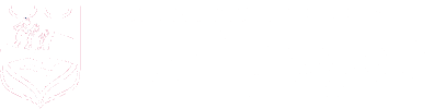 logo terspegelt wit